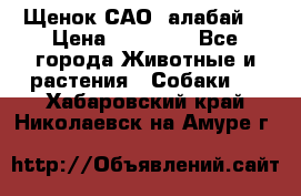 Щенок САО (алабай) › Цена ­ 10 000 - Все города Животные и растения » Собаки   . Хабаровский край,Николаевск-на-Амуре г.